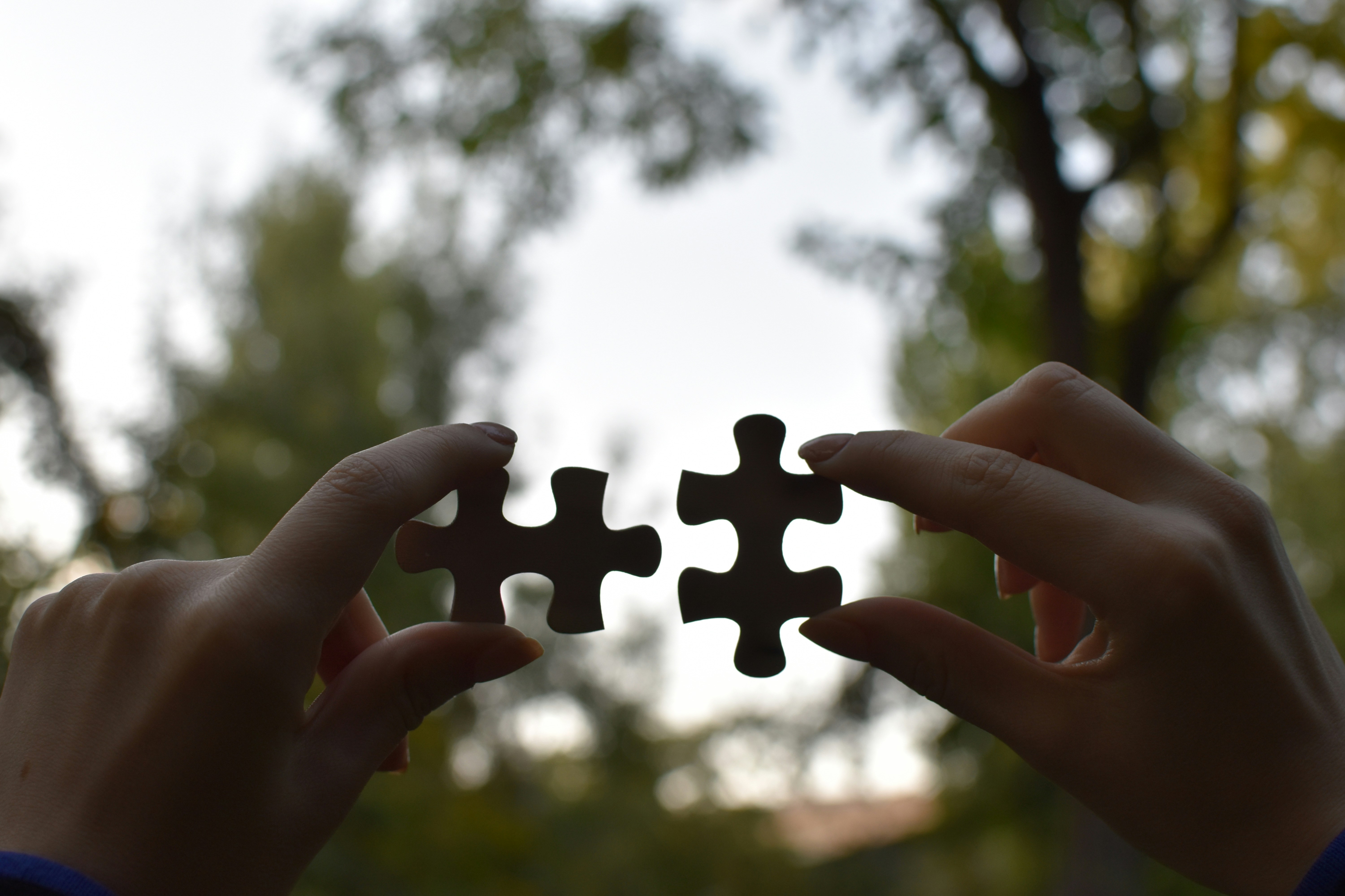 Daten-Parsing und -Erfassung Bildschirm